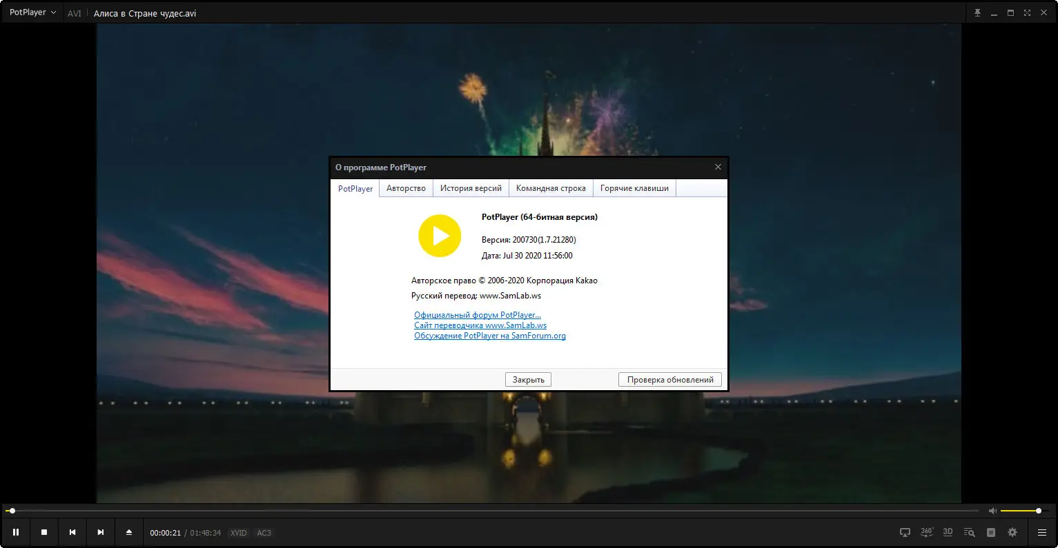 Установка Daum PotPlayer 1.7.21280 Stable [DC 03.08.2020] + Скины (2020) PC