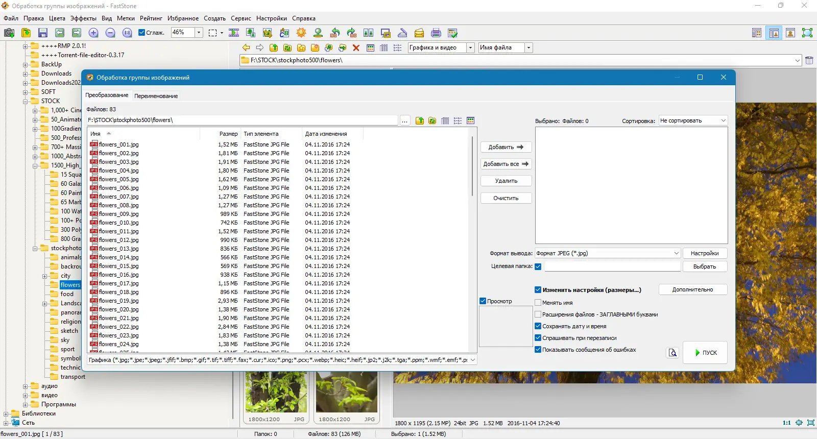 Установка FastStone Image Viewer 7.7 Corporate + Portable [Multi Ru]