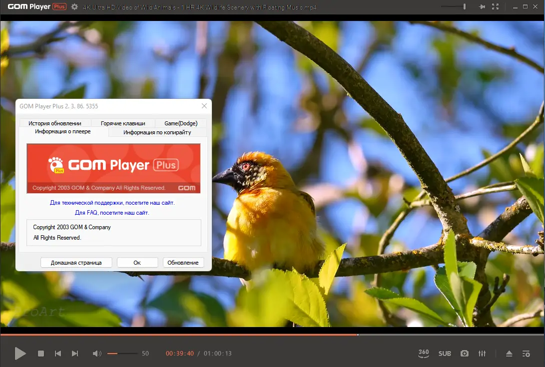 Установка GOM Player Plus 2.3.86.5355 RePack (& Portable) by Dodakaedr [Ru En]