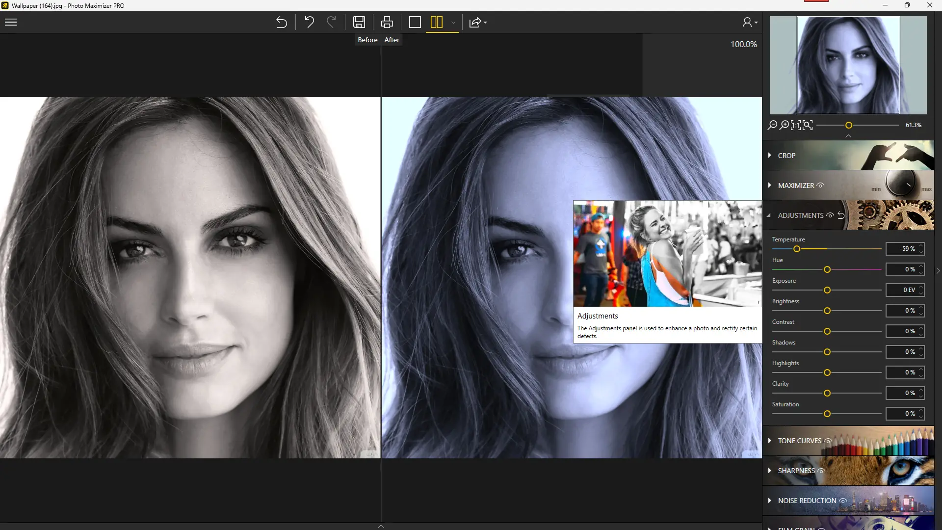 Установка InPixio Photo Maximizer Pro 5.3.8624 Portable by FC Portables [Multi]