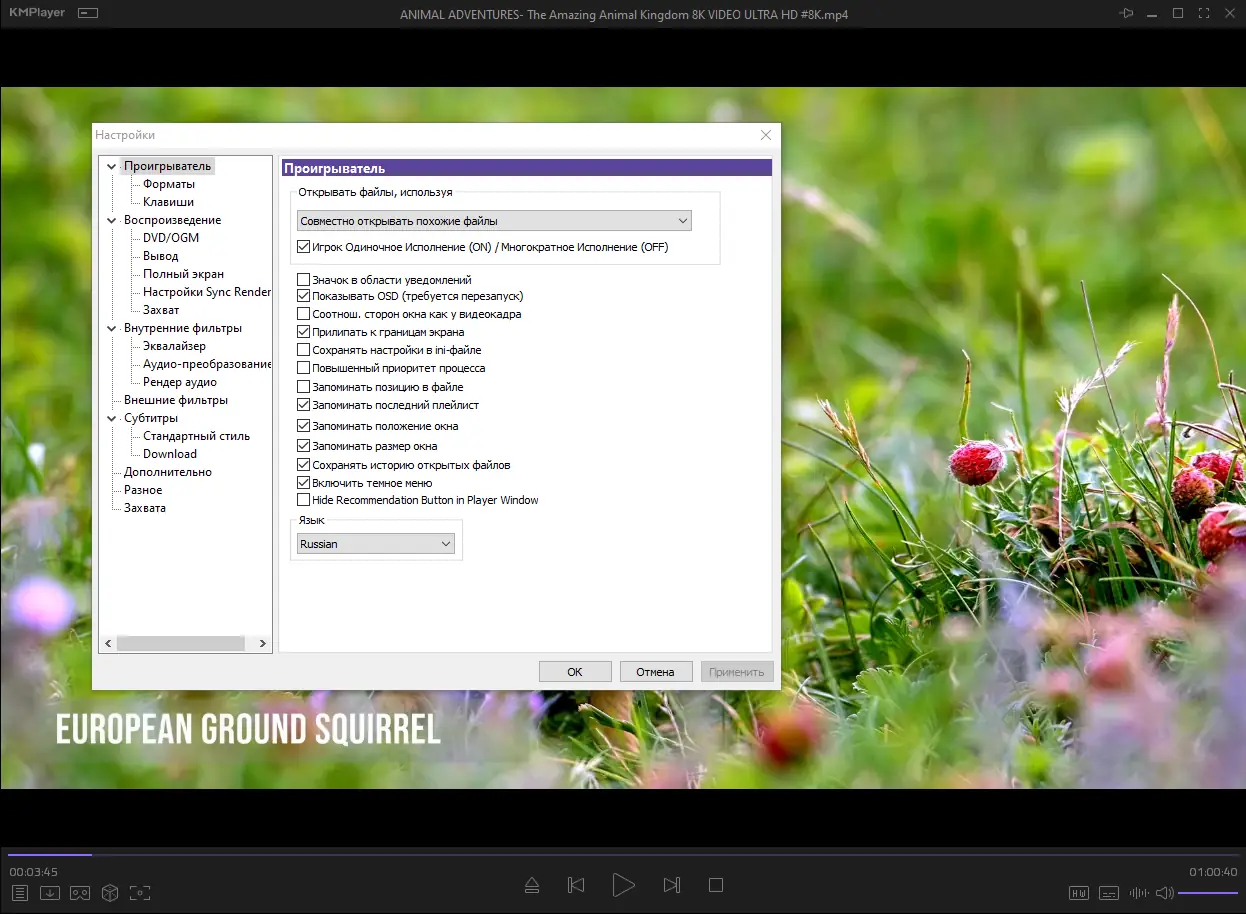 Установка KMPlayer 2024.4.25.13 (x64) Portable by 7997 [Multi Ru]