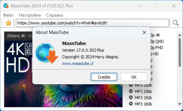 Установка MassTube Plus 17.0.0.502 RePack (& Portable) by elchupacabra [Ru En]