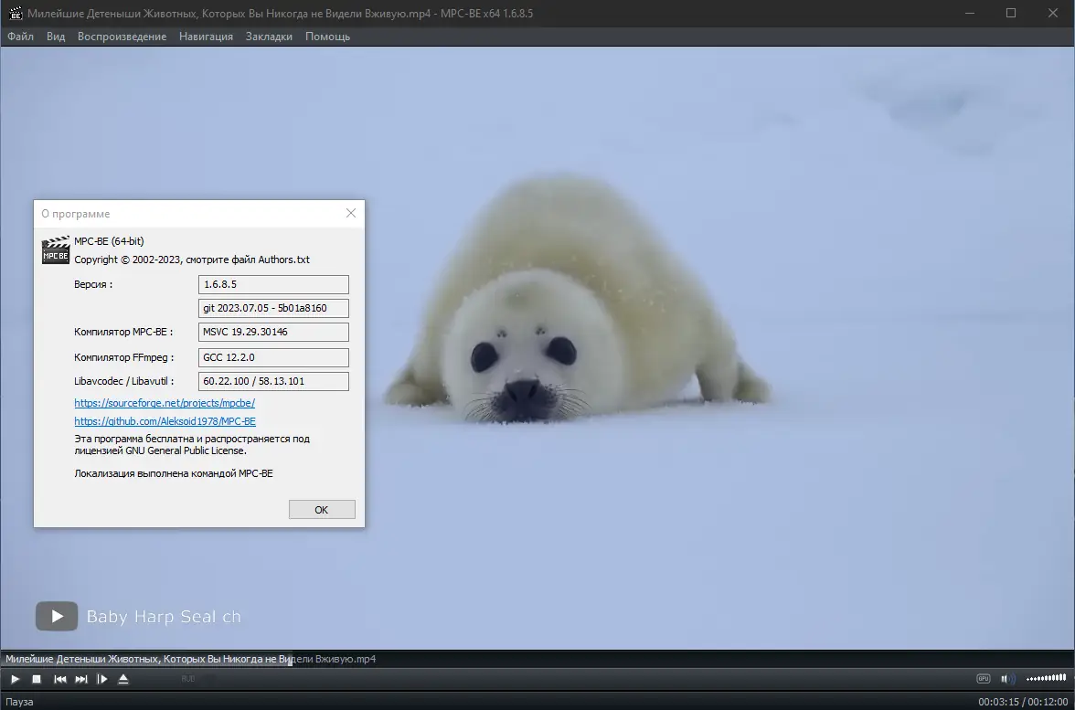 Установка Media Player Classic - Black Edition 1.6.8.5 Stable RePack (& Portable) by elchupacabra [Multi Ru]