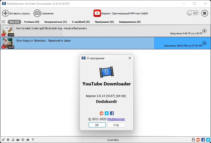 Установка MediaHuman YouTube Downloader 3.9.14 (0107) RePack (& Portable) by Dodakaedr [Multi Ru]