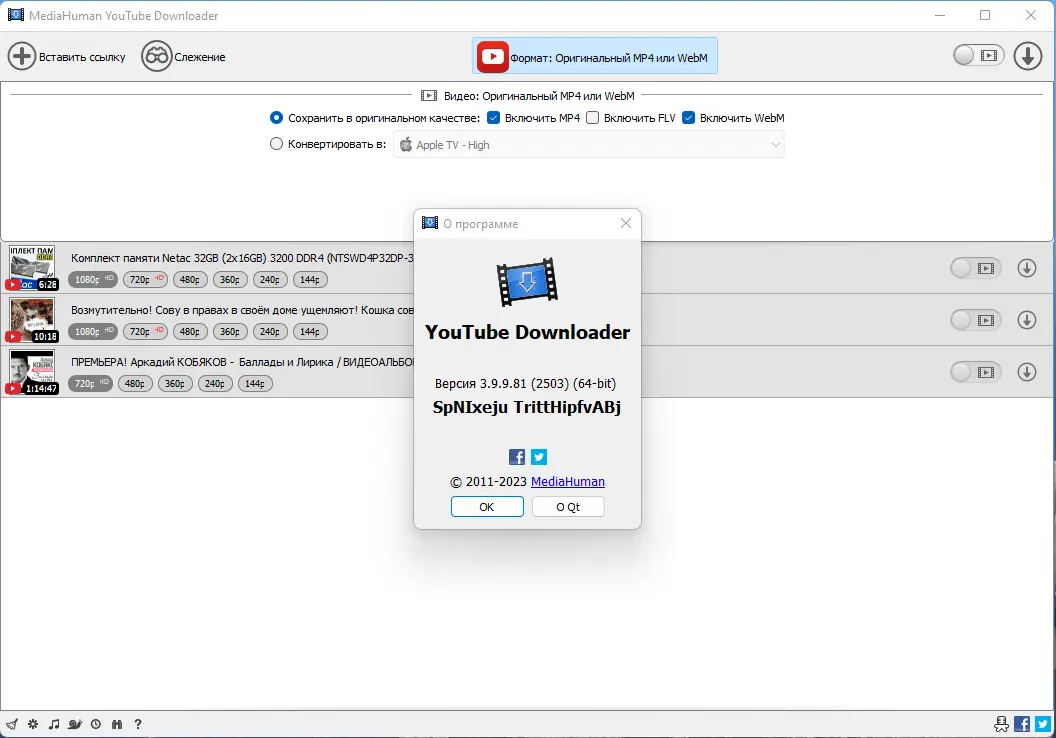 Установка MediaHuman YouTube Downloader 3.9.9.81 (2503) RePack (& Portable) by elchupacabra [Multi Ru]