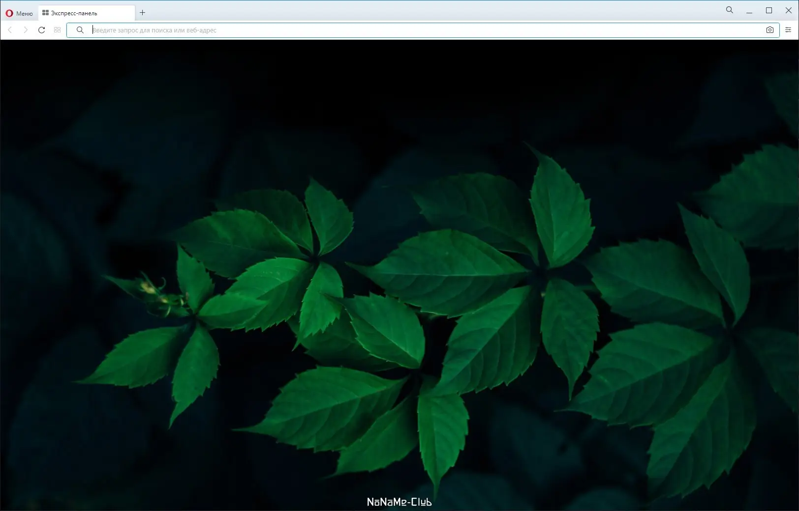 Установка Opera 87.0.4390.36 Portable by Cento8 [Ru En]