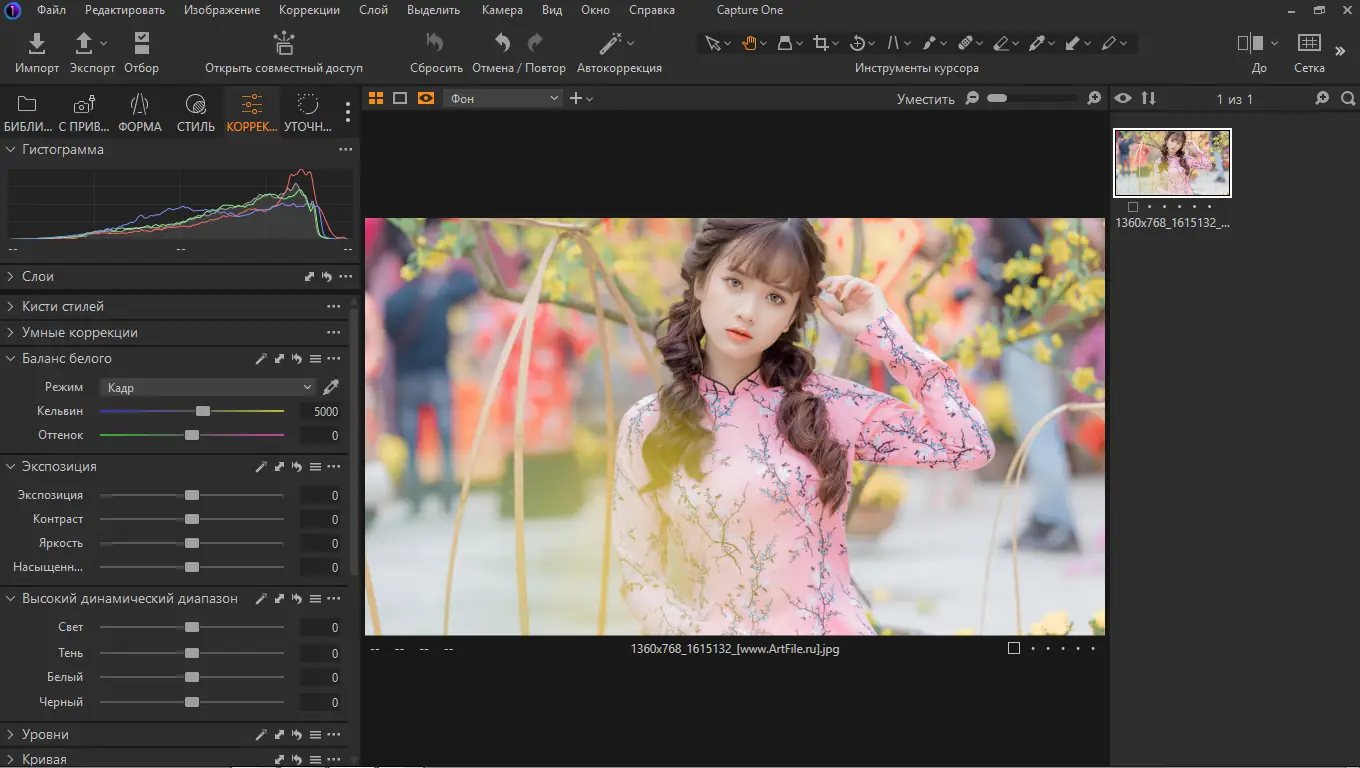 Установка Phase One Capture One Pro 22 16.0.0.143 Portable by conservator [Multi Ru]