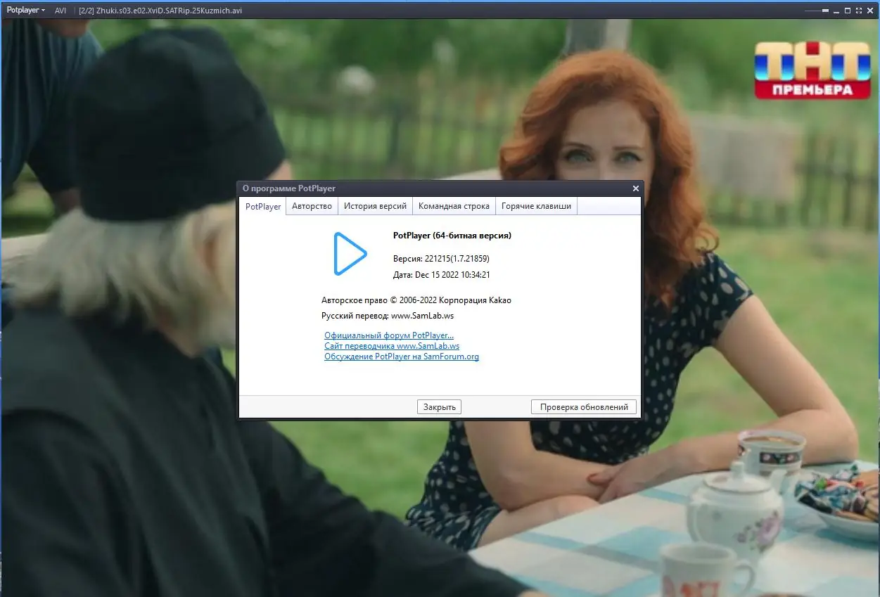 Установка PotPlayer 221215 (1.7.21859) Portable by 7997 [Multi Ru]