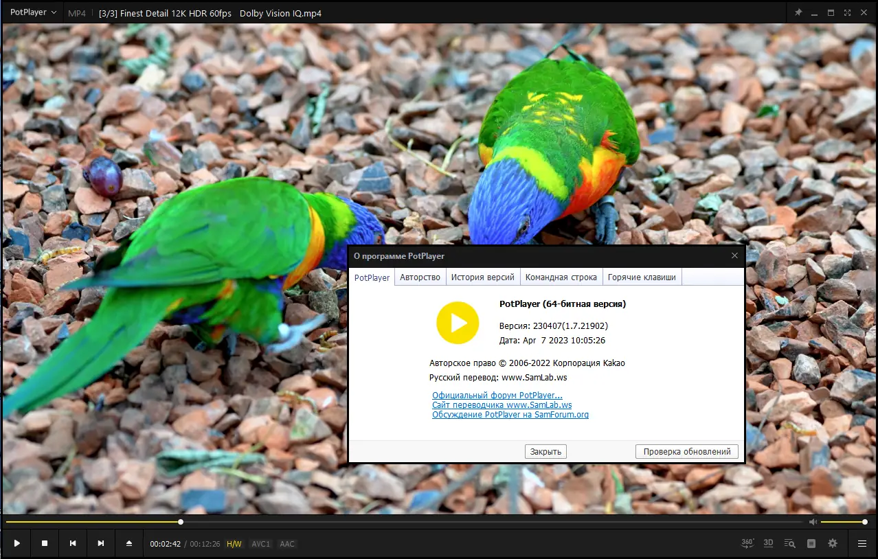 Установка PotPlayer 230407 (1.7.21902) Stable + Portable (x86 x64) by SamLab [Multi Ru]