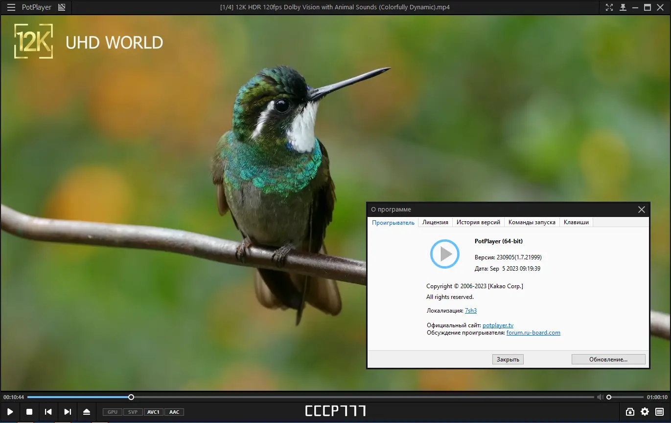 Установка PotPlayer 230905 (1.7.21999) RePack (& portable) by elchupacabra [Multi Ru]