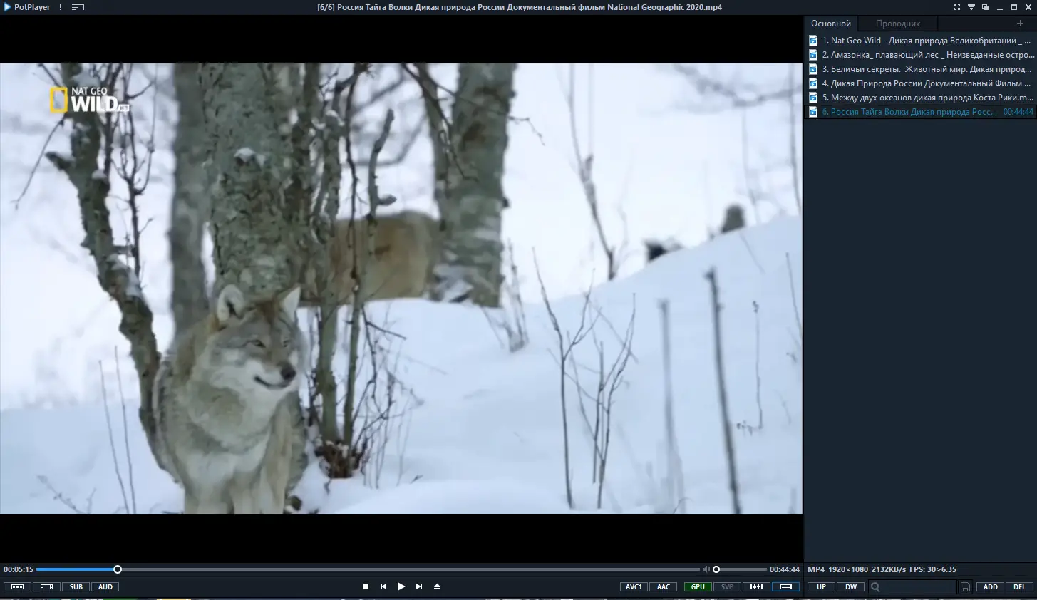 Установка PotPlayer 240112 (1.7.22077) (x64) Stable RePack (& portable) by 7sh3 [Multi Ru]