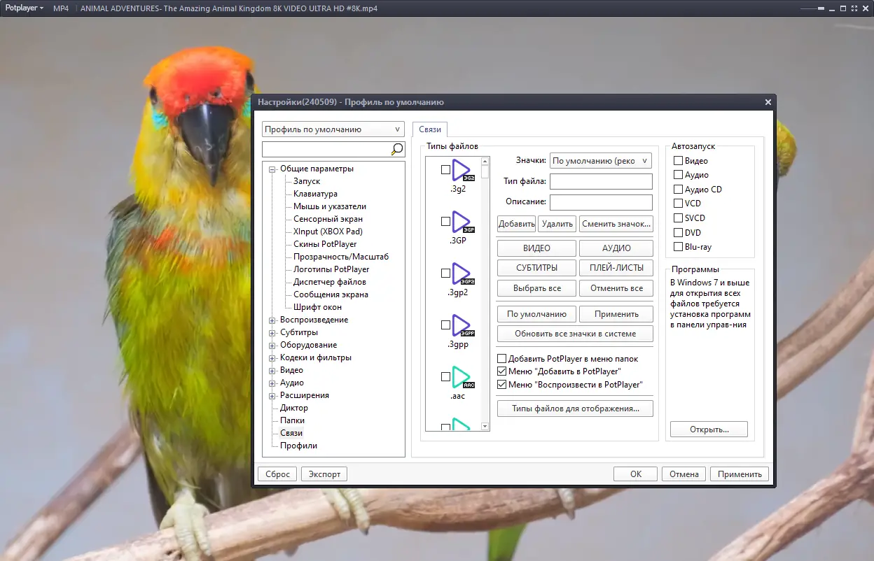 Установка PotPlayer 240509 (1.7.22232) RePack (& portable) by elchupacabra [Multi Ru]