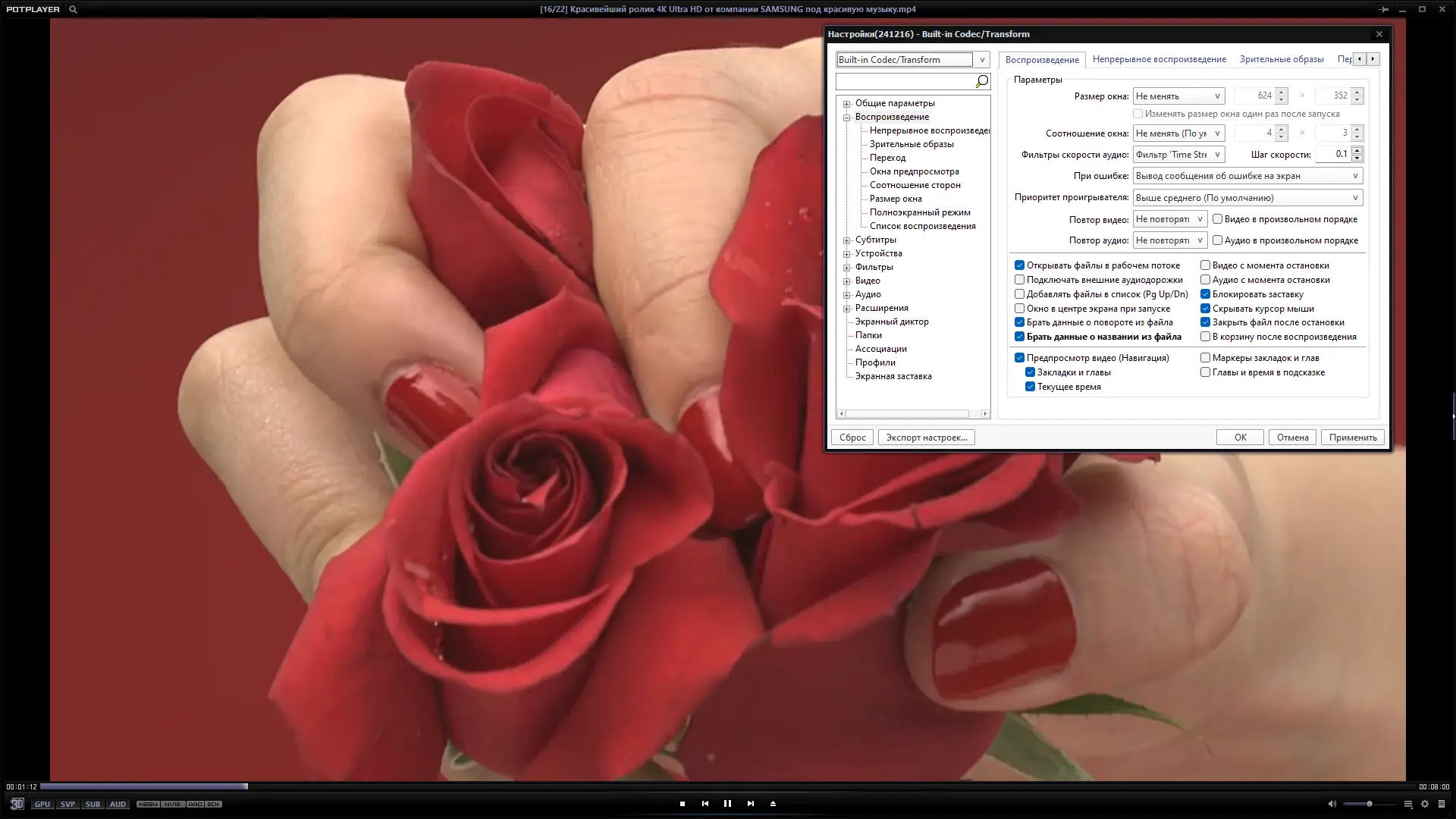 Установка PotPlayer 241216 (1.7.22398) RePack (& Portable) by elchupacabra (28.01.2025) [Multi Ru]