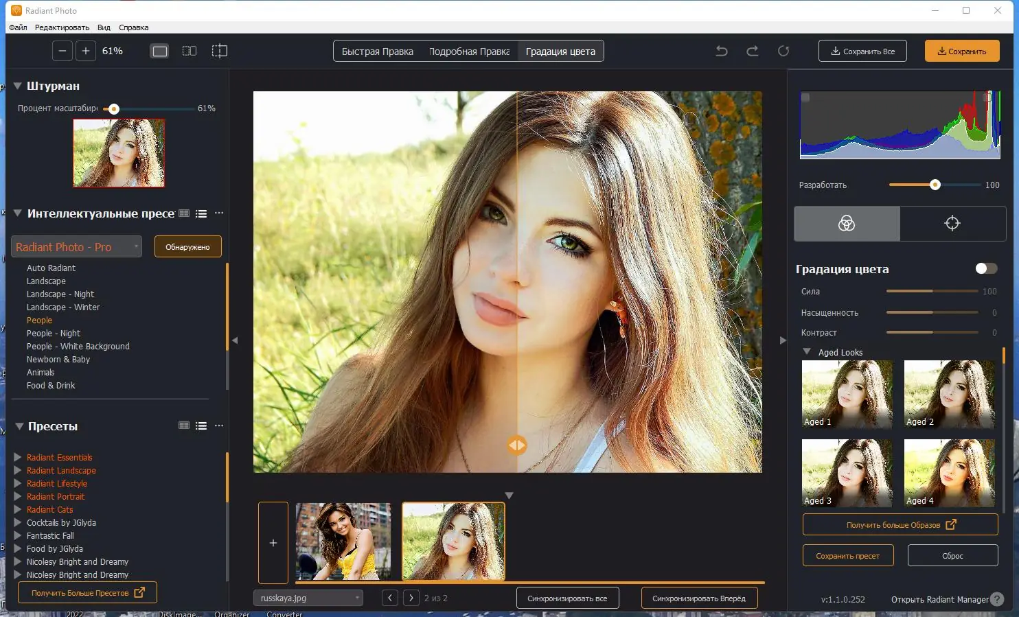 Установка Radiant Photo 1.1.2.334 (2023) PC RePack & Portable by elchupacabra