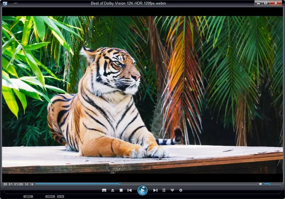 Установка The KMPlayer 4.2.3.10 repack by cuta (build 3) [Multi Ru]