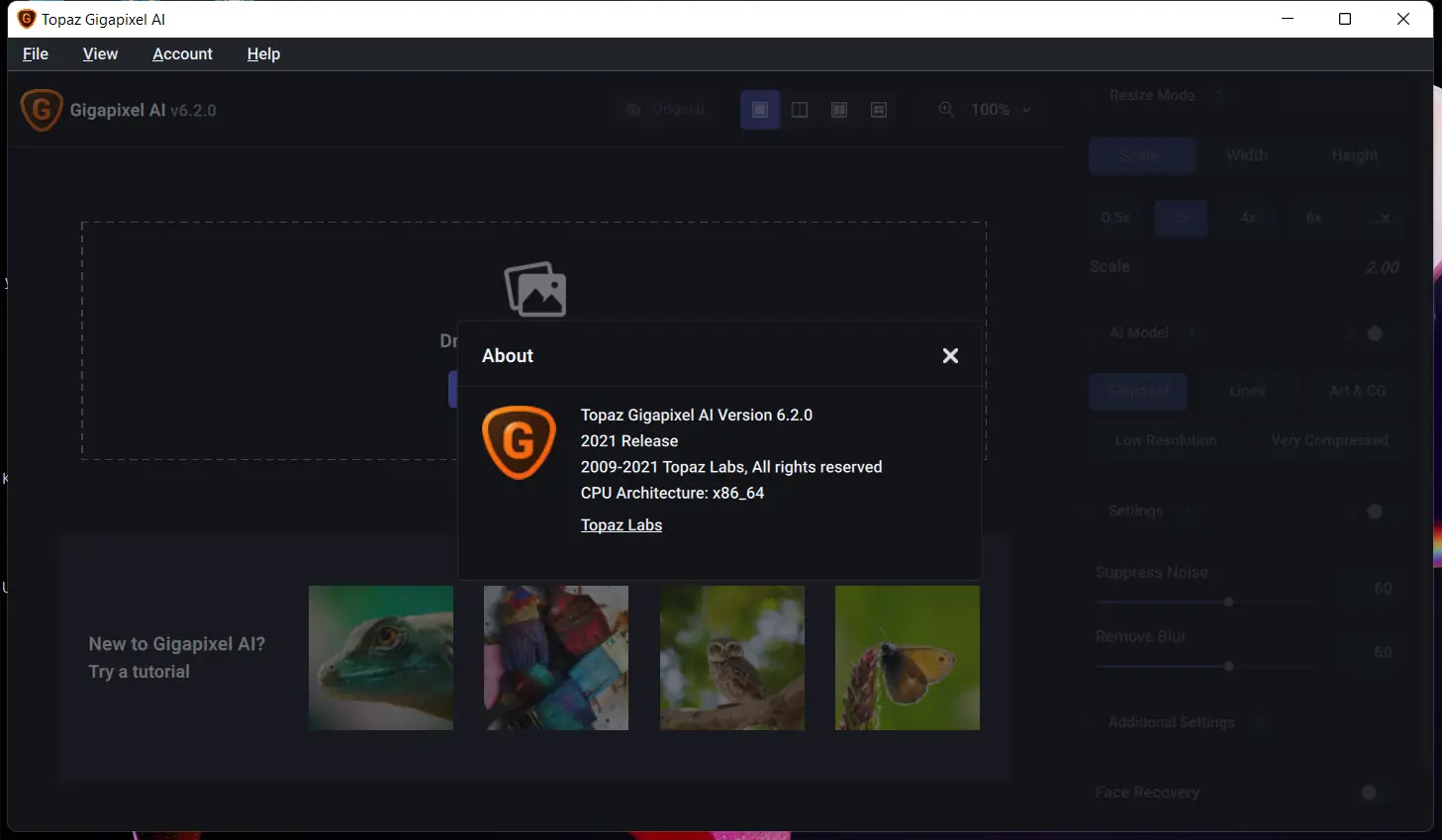 Установка Topaz Gigapixel AI 6.2.0 RePack (& Portable) by TryRooM [En]