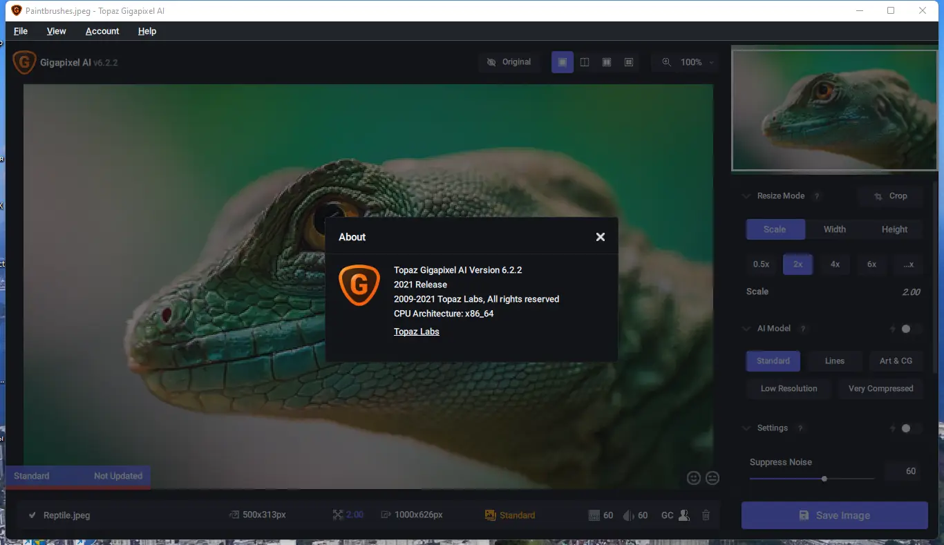 Установка Topaz Gigapixel AI 6.2.2 Portable by NNM [En]
