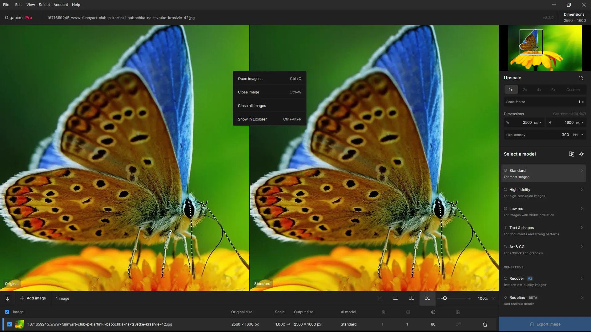Установка Topaz Gigapixel AI Pro 8.3.3 RePack by KpoJIuK [En]