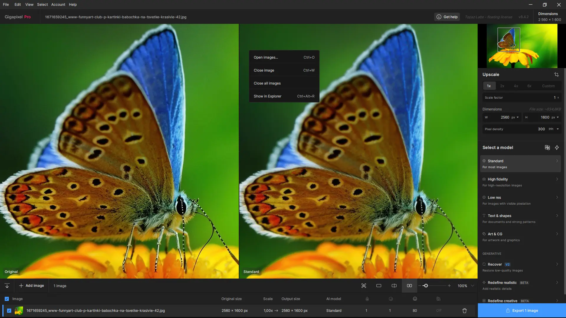 Установка Topaz Gigapixel AI Pro 8.4.2 RePack by KpoJIuK [En]