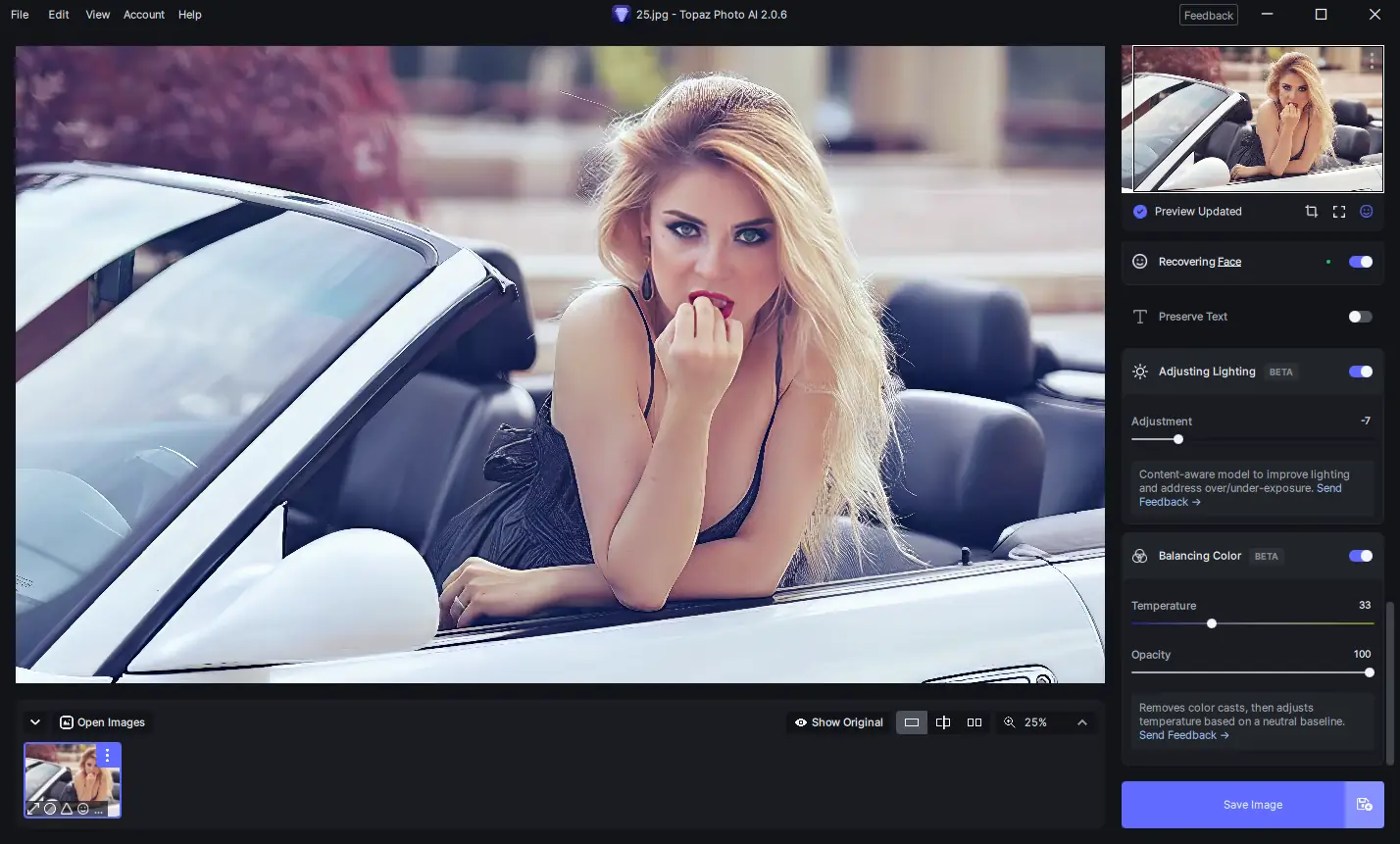 Установка Topaz Photo AI 2.0.6 (x64) Portable by 7997 [En]