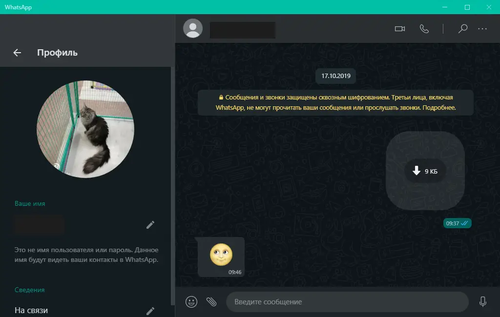 Установка WhatsApp 2.2146.9 RePack (& Portable) by elchupacabra [Multi Ru]