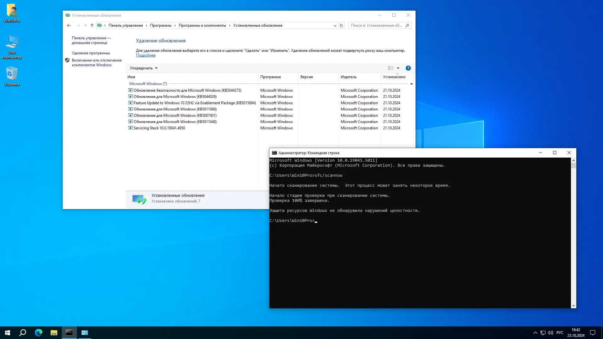 Установка Windows 10 Pro 22H2 19045.5011 x64 by SanLex [Lightweight] [Ru-En] (2024.10.23)