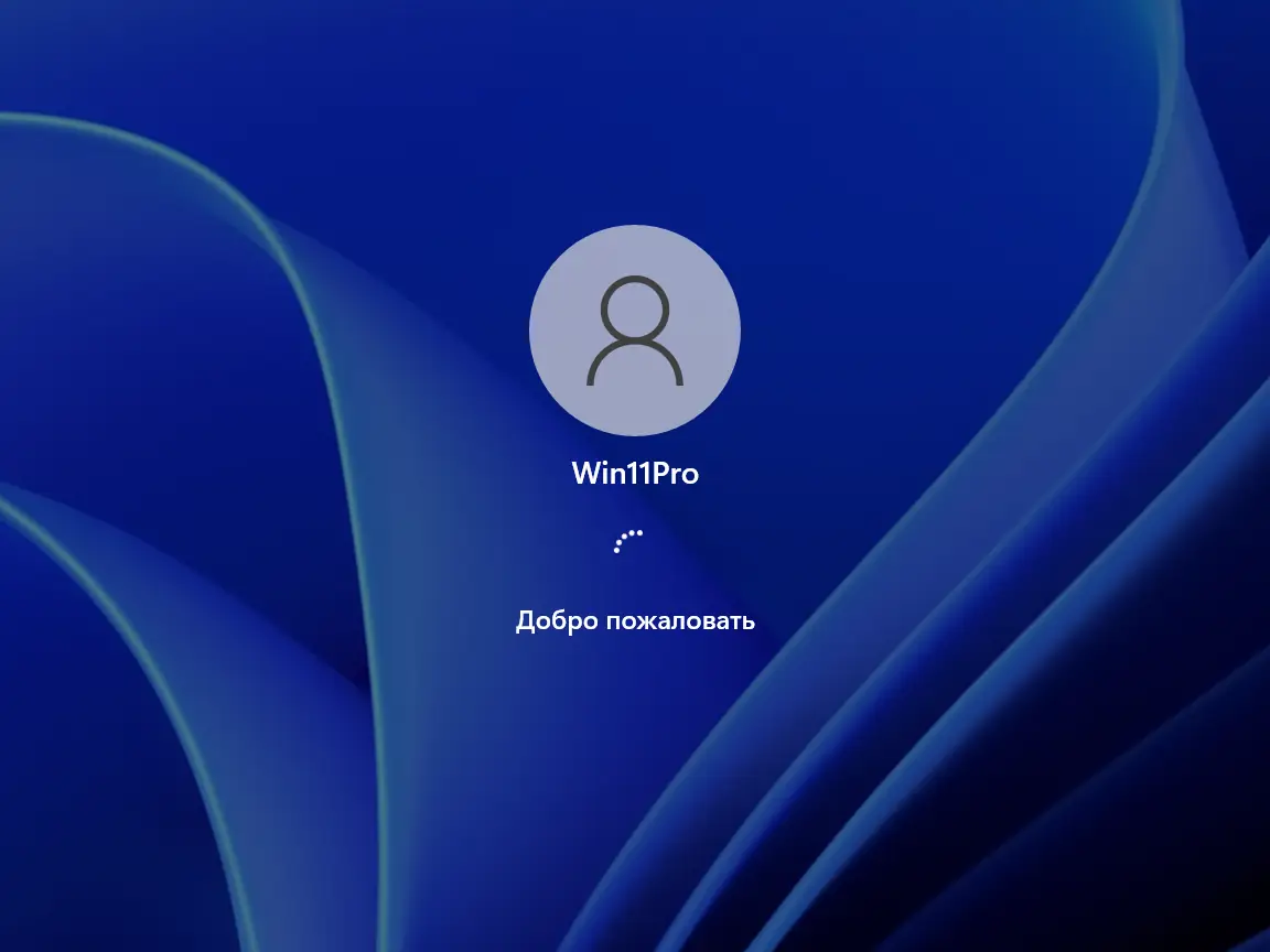 Установка Windows 11 Pro 21H2 22000.348 x64 by SanLex [Ru] (25.11.2021)