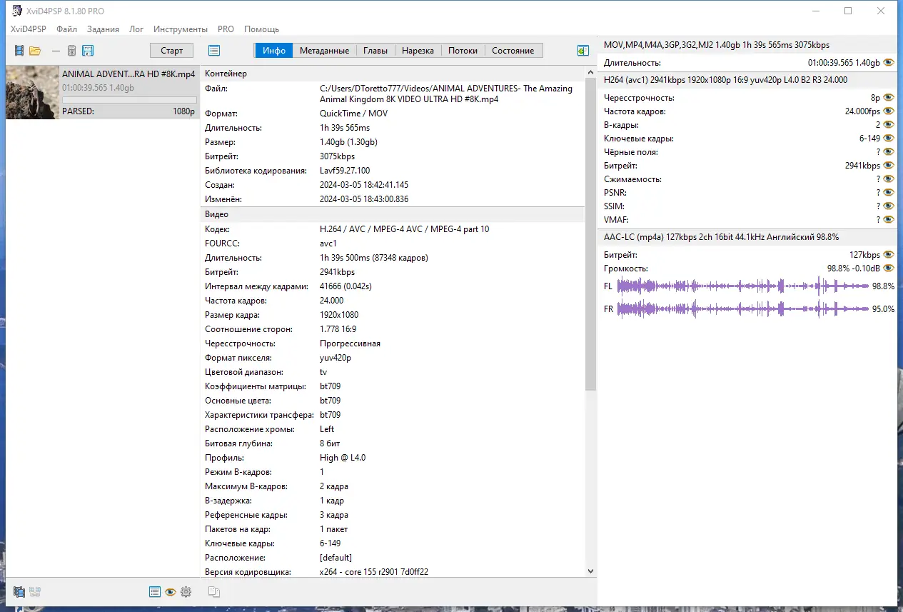 Установка XviD4PSP 8.1.80 Pro (x64) Portable by 7997 [Multi Ru]